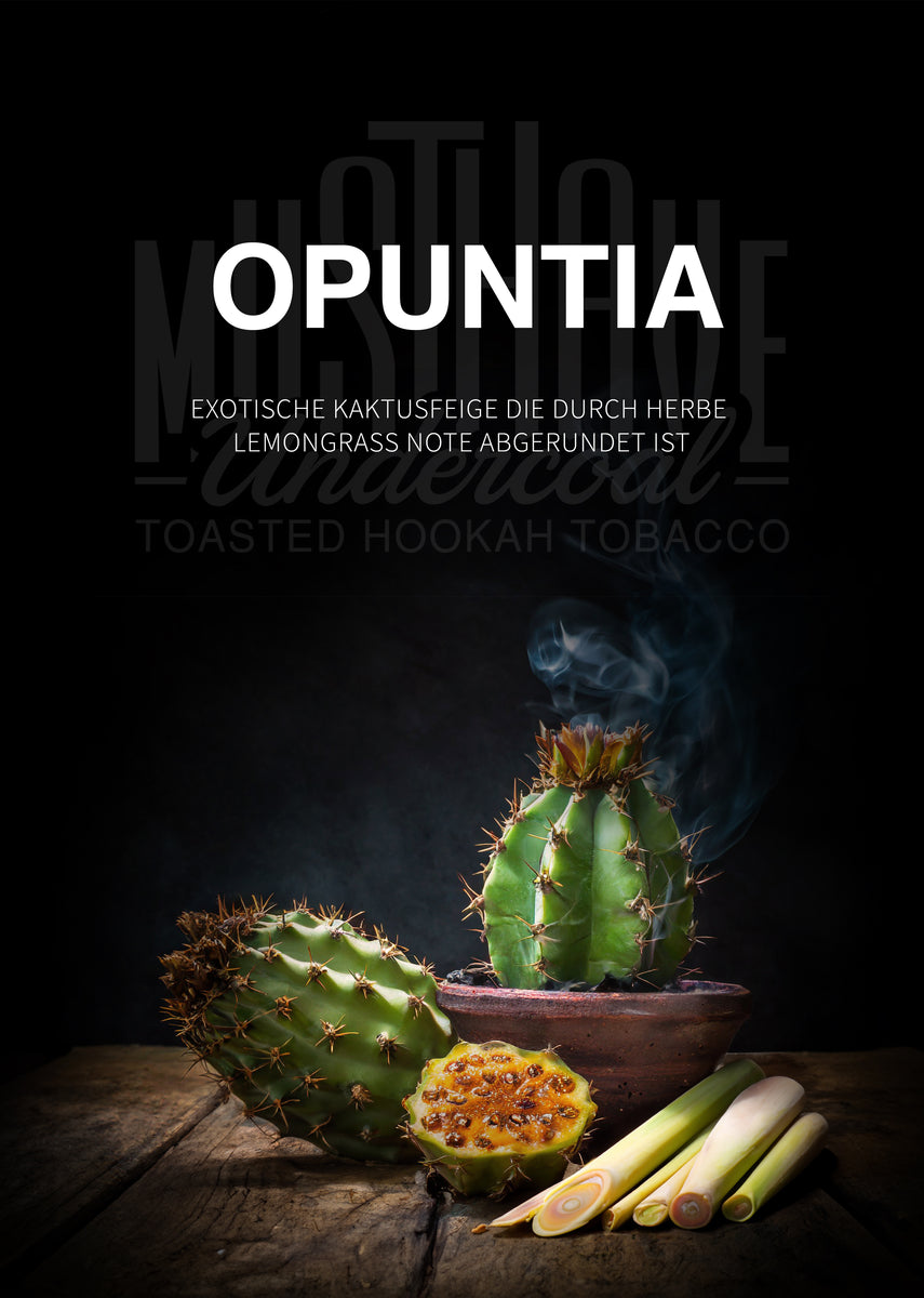 cactus echternach prospekt OPUNTIA